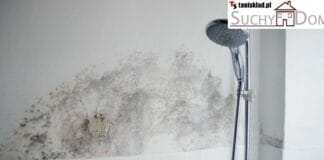 Osuszanie Murów Metodą Iniekcji